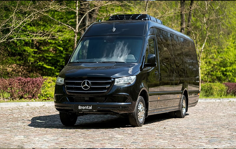 Schwarzer Sprinter, schräg von vorn